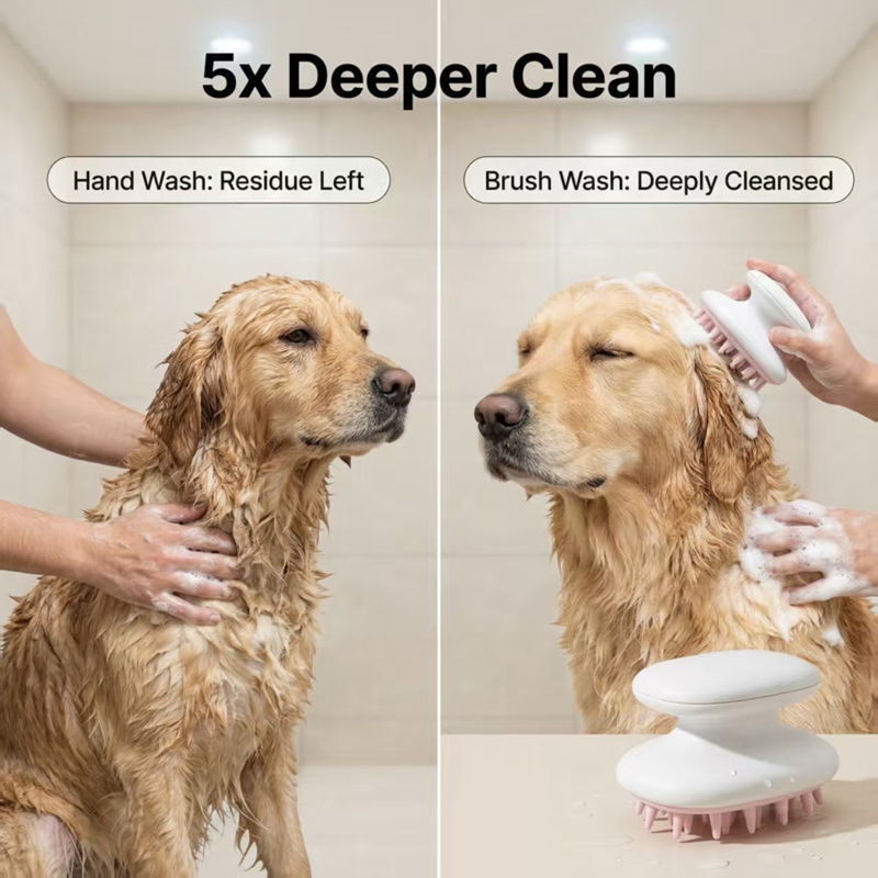 Pet Supplies In Store - Pet Cleaning Massage Brush Dog Take