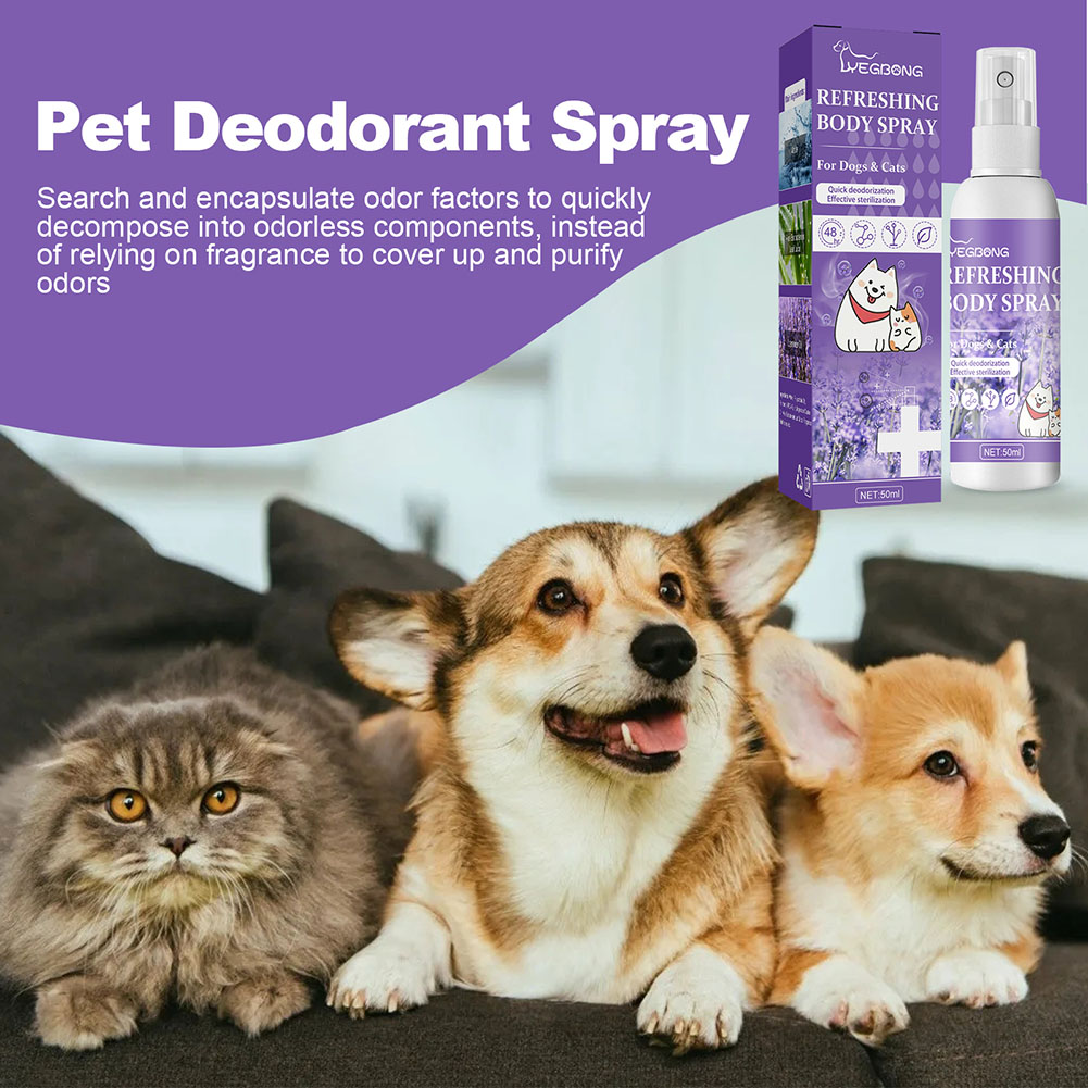 Dog Deodorizer Spray Feces Cle - огляд і ціна Pet Supplies In Store